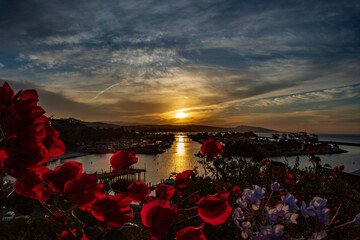 sunset over the harbor