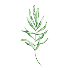 Watercolor branch with leaves