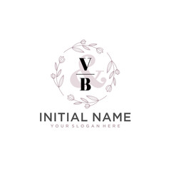Initial letter VB beauty handwriting logo vector