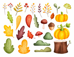 Watercolor set of illustration autumn leaves and plants