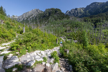 photos taken while trekking in the mountains