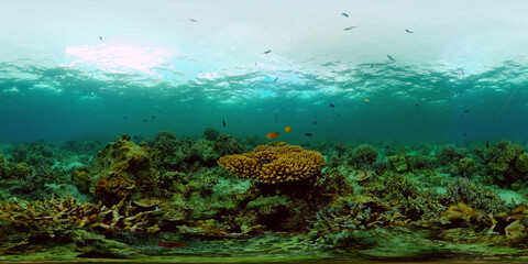 Underwater fish reef marine. Tropical colourful underwater seascape. Philippines. Virtual Reality...