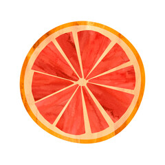 Round grapefruit slice isolated on white background. Watercolor illustration in collage technique.