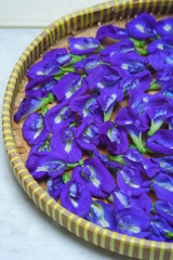 a tray of blue pea flowers