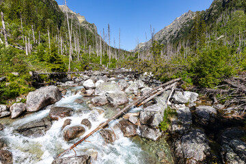 photos taken while trekking in the mountains