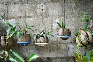 Plant system made with wasted plastic bottle