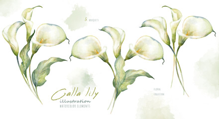 Fototapeta na wymiar Watercolor hand drawn floral set with delicate illustration of blossom white calla lily flowers and leaf. Elegant romantic elements isolated on white background. Beautiful bouquet summer collection.