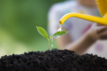 The little girl watering plant the seedlings after planting.