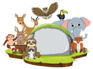 Wild animals with blank board template © blueringmedia