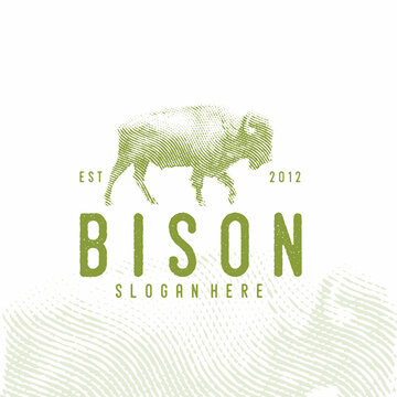 vintage retro bison illustration logo with scratch and grungy concept