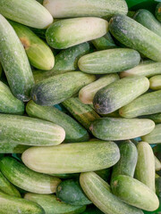 Cucumbers top view, greenhouse cucumbers, long cucumbers, vegetables harvest, food background, place for text