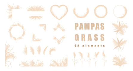 Pampas grass collection. Set of wedding bouquets, frame and borders. Vector cortaderia in boho style isolated on white. Trendy design elements for invitations, postcards, social media, stickers. - obrazy, fototapety, plakaty