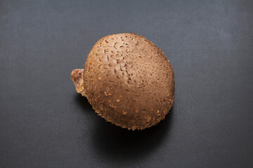 Shiitake mushuroom on black background (Called Shiitake in Japan)