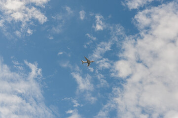 A plane is flying in a blue sky with white clouds