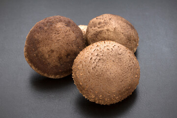 Shiitake mushuroom on black background (Called Shiitake in Japan)