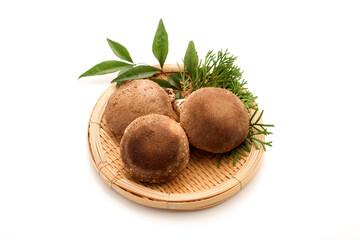 Shiitake mushuroom on white background (Called Shiitake in Japan)