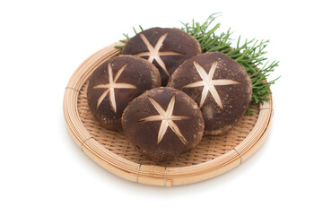 Shiitake mushuroom on white background (Called Shiitake in Japan)