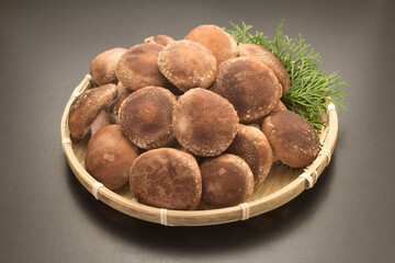 Shiitake mushuroom on black background (Called Shiitake in Japan)