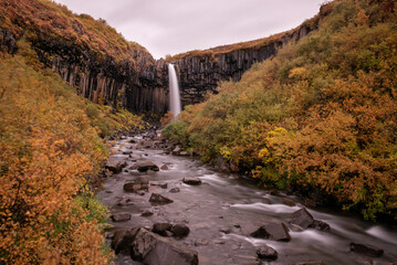 Svartifoss Falls in Autumn