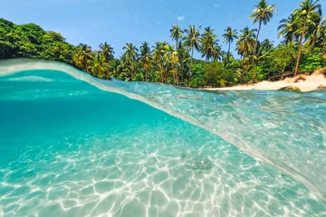 Tropical Island Palm und Unterwasser, Schnorcheln im Meer © artrachen