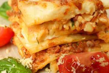 Concept of delicious food, lasagna, close up