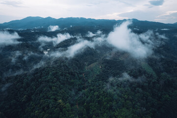 mountain scenery in the morning, high angle, summer