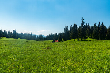 Stredna polana meadow bellow Velky Choc hill in Chocske vrchy mountains in Slovakia © honza28683