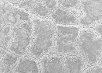 Gray and white concrete floor texture background.  Crazy paving floor background. 