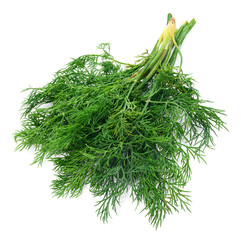 a bunch of green dill in detail, object is isolated on a white background, concept of fresh vegetables and healthy food
