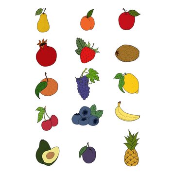 Set of hand drawn fruits and berries in a linear style. vector illustration. pear, apple, pineapple, peach, kiwi, lemon, blueberry, cherry, plum, grape, banana, orange, avocado, strawberry.