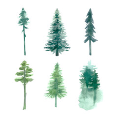 Fototapeta premium Watercolor forest single trees. High quality illustration