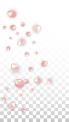 Pink Vector Realistic Petals Falling on Transparent Background.  Spring Romantic Flowers Illustration. Flying Petals. Sakura Spa Design. Blossom Confetti. Design Elements for Wedding Decoration.