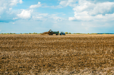A tractor spreads cow waste to fertilize the soil before plowing. The use of organic fertilizers in...