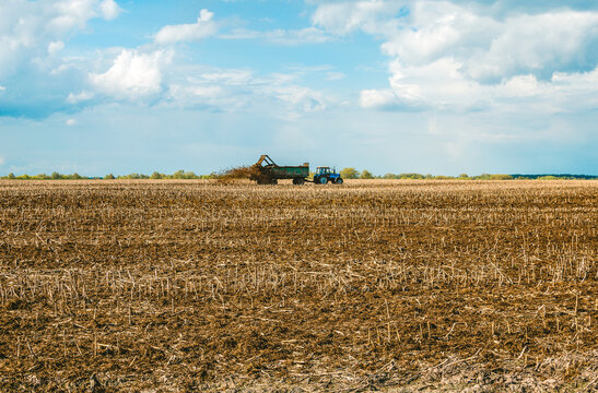 A tractor spreads cow waste to fertilize the soil before plowing. The use of organic fertilizers in agriculture.