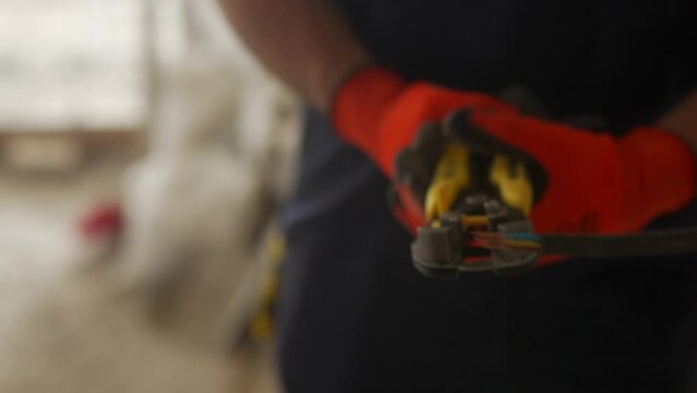 Electrician strips electric cable insulation with wire stripper. Master lays the power line cabling in the house. Worker doing electricity works on construction site. Apartment renovation stages.