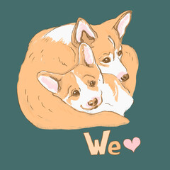  welsh corgi dog puppy couple illustration in love Valentines Day cards	