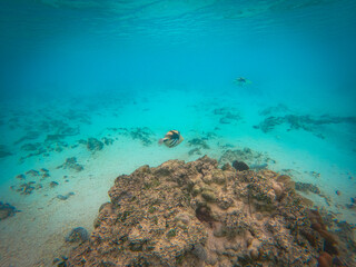 Cooks Islands, Aitutaki's lagoon is an amazing place to discover. Turqouise water, underwater world with many colorful fish, small islands and private beaches. It's definitely place to visit!