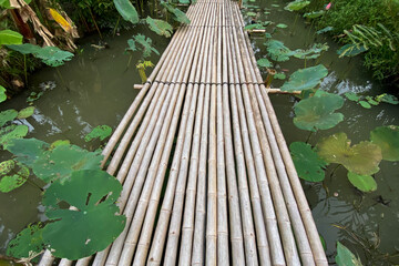 bamboo walkway in lotus pond