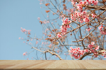 Table top with Plum Blossom backhround