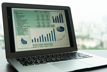 accounting financial report concept. business presentation software on computer screen.