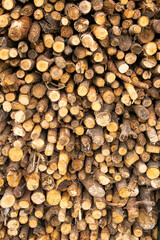 Firewood chopped and stacked in a firewood shed. Preparation for the winter heating in the stove....