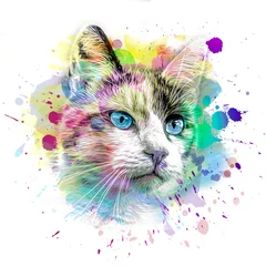 Zelfklevend Fotobehang abstract colorful cat muzzle illustration, graphic design concept © reznik_val