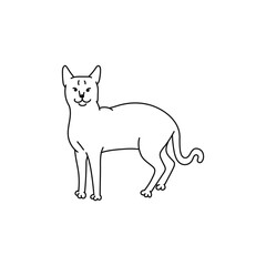 cat black white contour sketch doodle illustration.