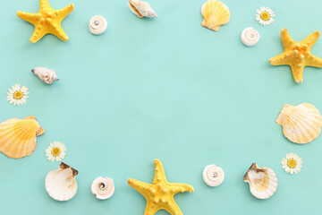 Fototapeta na wymiar nautical concept seashells and starfish over mint blue wooden background