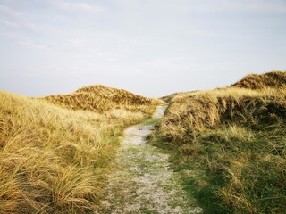 Danish beach scene, Path in the Dunes, Dunes in the Denmark, Danish North Sea coast