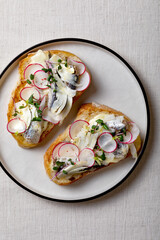 Grilled bread toast with mayonnaise, sardines, radish, micro greens and marinated fennel on a plate