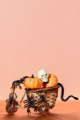 Vertical composition of pumpkins, spiders and snakes with a human skull.