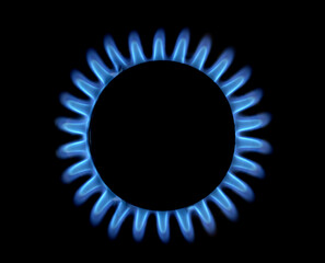 methane gas flame of a home cooker, top view, black background - obrazy, fototapety, plakaty