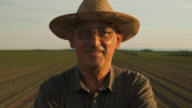 Portrait of senior farmer standing in corn field at sunset.