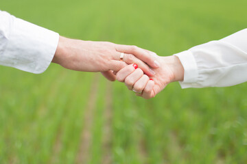 a pair of hands on a background of green grass